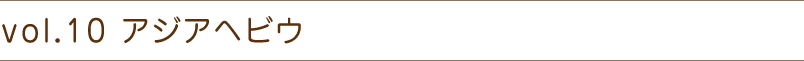 vol.10 アジアヘビウ