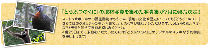 どうぶつのくにの取材写真を集めた写真集が7月に発売決定!!