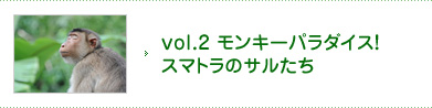vol.2 モンキーパラダイス！スマトラのサルたち