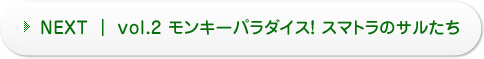 NEXT