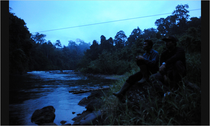 スマトラトラが現れた川