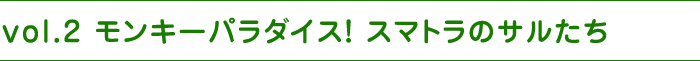 vol.2 モンキーパラダイス！スマトラのサルたち