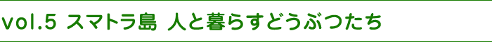 vol.5 スマトラ島 人と暮らすどうぶつたち