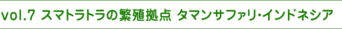 vol.7 スマトラトラの繁殖拠点 タマンサファリ・インドネシア