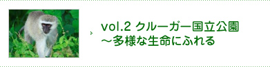 vol.2 クルーガー国立公園～多様な生命にふれる