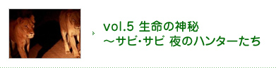 vol.5 生命の神秘～サビ・サビ 夜のハンターたち