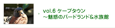 vol.6 ケープタウン～魅惑のバードランド&水族館