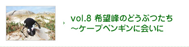 vol.8 希望峰のどうぶつたち～ケープペンギンに会いに