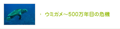 ウミガメ〜500万年目の危機