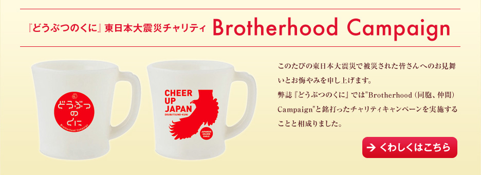 どうぶつのくに書籍化